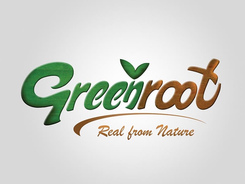 Green Root sustainable brand logo design